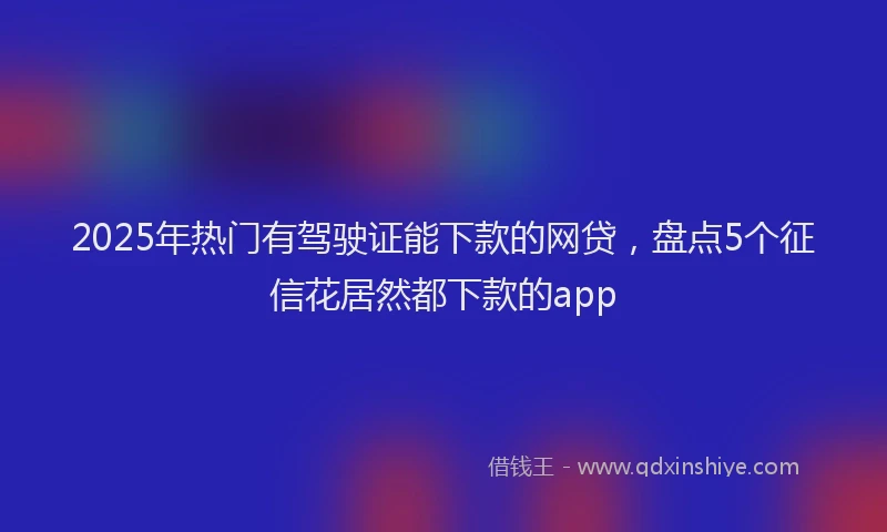 2025年热门有驾驶证能下款的网贷，盘点5个征信花居然都下款的app