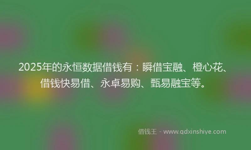 2025年的永恒数据借钱有：瞬借宝融、橙心花、借钱快易借、永卓易购、甄易融宝等。