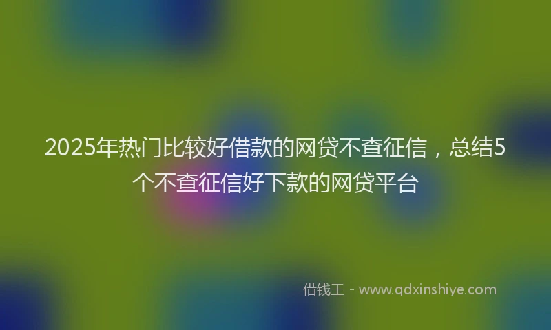 2025年热门比较好借款的网贷不查征信，总结5个不查征信好下款的网贷平台