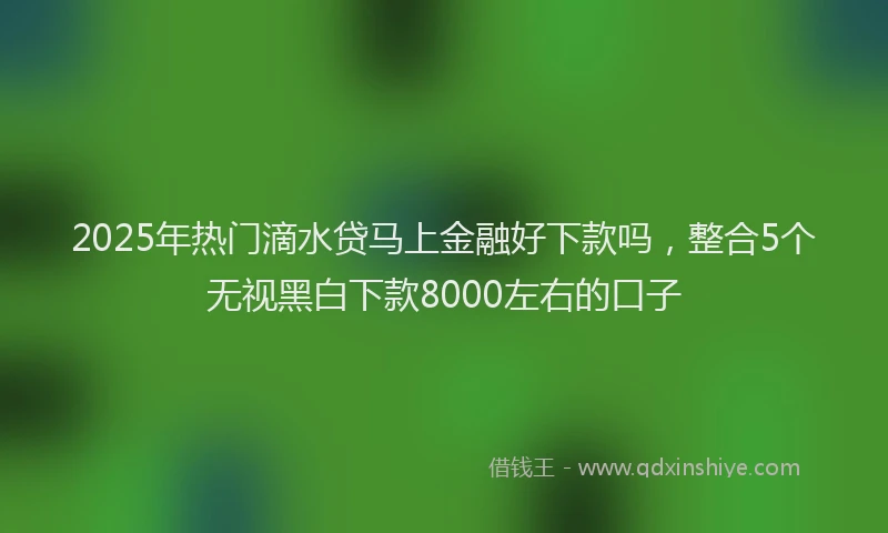 2025年热门滴水贷马上金融好下款吗，整合5个无视黑白下款8000左右的口子