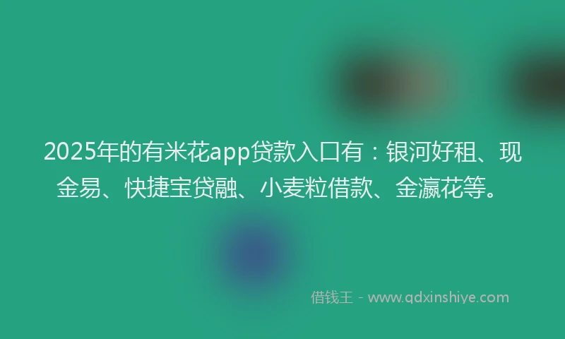 2025年的有米花app贷款入口有：银河好租、现金易、快捷宝贷融、小麦粒借款、金瀛花等。