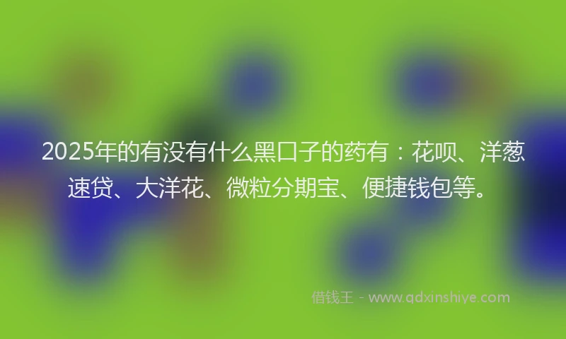 2025年的有没有什么黑口子的药有：花呗、洋葱速贷、大洋花、微粒分期宝、便捷钱包等。