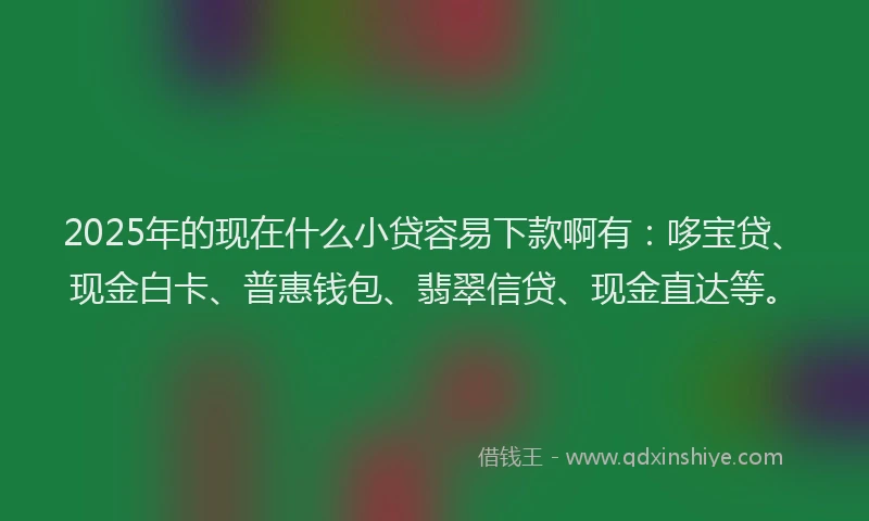 2025年的现在什么小贷容易下款啊有：哆宝贷、现金白卡、普惠钱包、翡翠信贷、现金直达等。