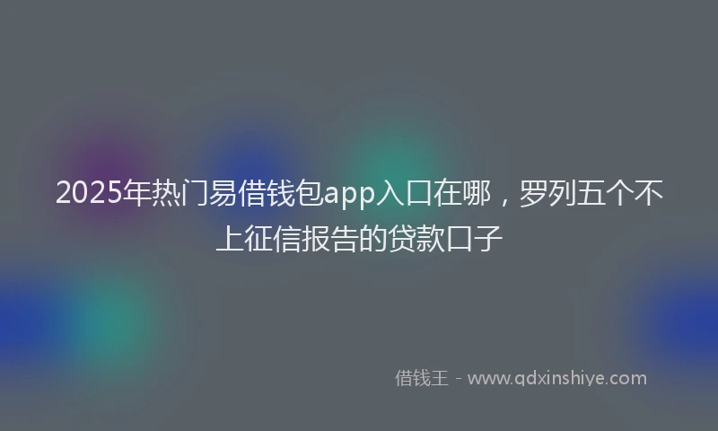 2025年热门易借钱包app入口在哪，罗列五个不上征信报告的贷款口子
