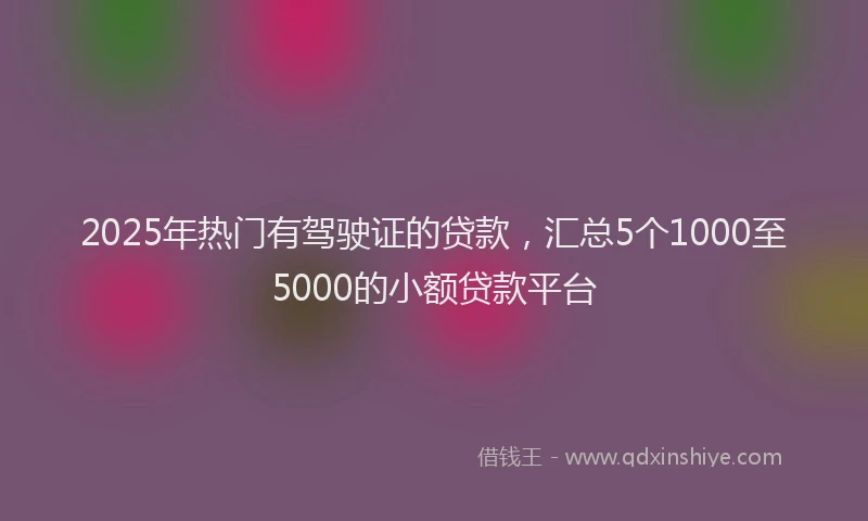 2025年热门有驾驶证的贷款，汇总5个1000至5000的小额贷款平台
