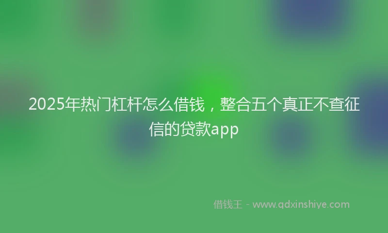 2025年热门杠杆怎么借钱，整合五个真正不查征信的贷款app