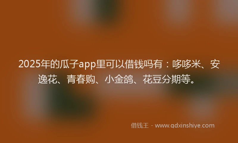 2025年的瓜子app里可以借钱吗有：哆哆米、安逸花、青春购、小金鸽、花豆分期等。