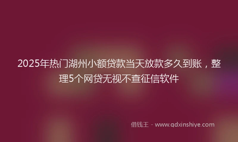 2025年热门湖州小额贷款当天放款多久到账，整理5个网贷无视不查征信软件