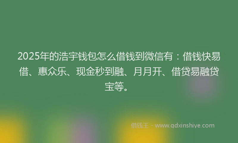2025年的浩宇钱包怎么借钱到微信有：借钱快易借、惠众乐、现金秒到融、月月开、借贷易融贷宝等。