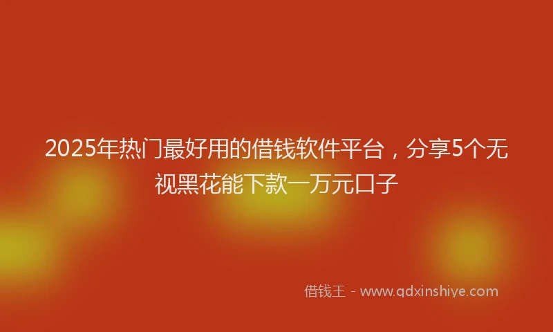 2025年热门最好用的借钱软件平台，分享5个无视黑花能下款一万元口子