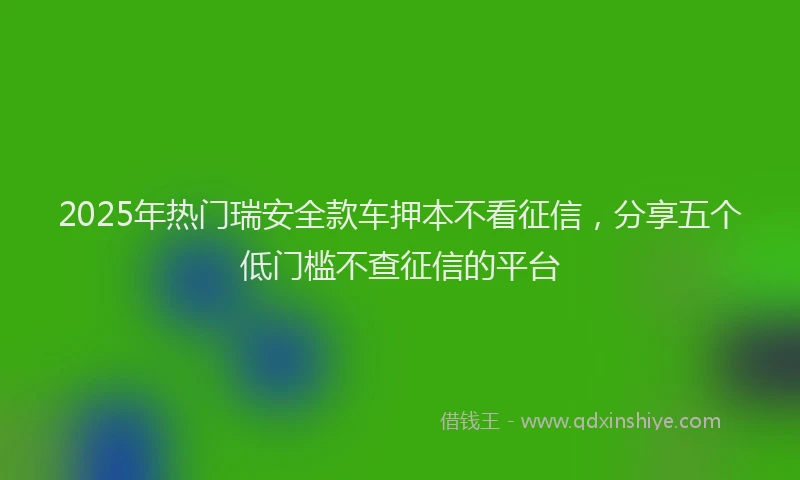 2025年热门瑞安全款车押本不看征信，分享五个低门槛不查征信的平台
