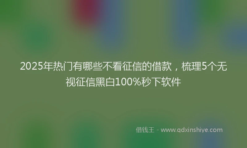 2025年热门有哪些不看征信的借款，梳理5个无视征信黑白100%秒下软件