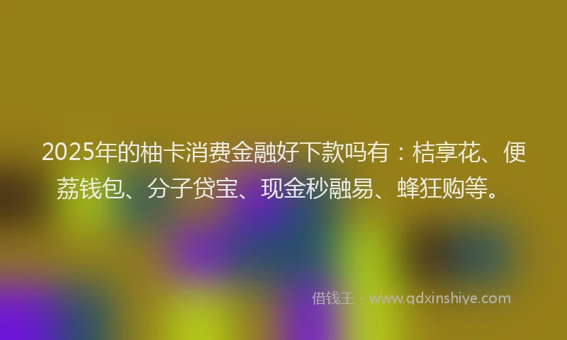 2025年的柚卡消费金融好下款吗有：桔享花、便荔钱包、分子贷宝、现金秒融易、蜂狂购等。