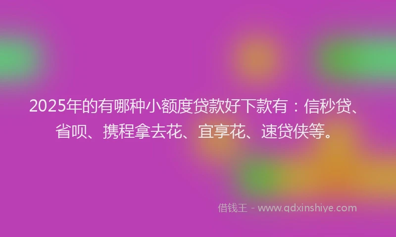 2025年的有哪种小额度贷款好下款有：信秒贷、省呗、携程拿去花、宜享花、速贷侠等。