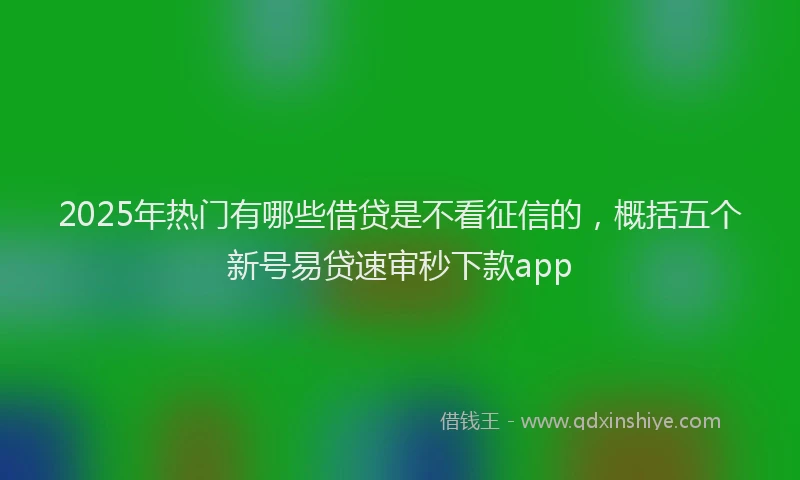 2025年热门有哪些借贷是不看征信的，概括五个新号易贷速审秒下款app