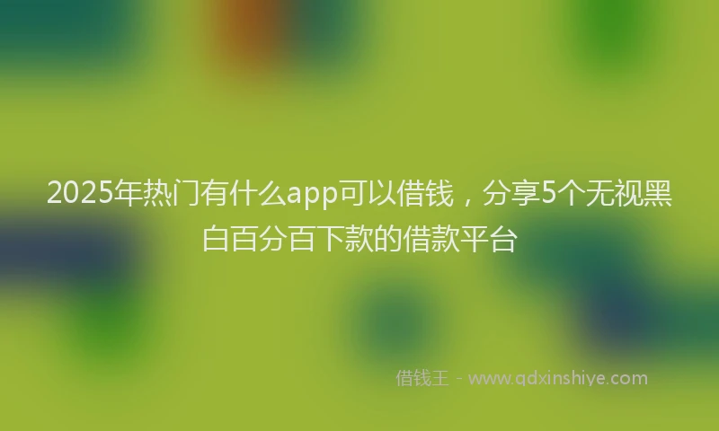 2025年热门有什么app可以借钱，分享5个无视黑白百分百下款的借款平台