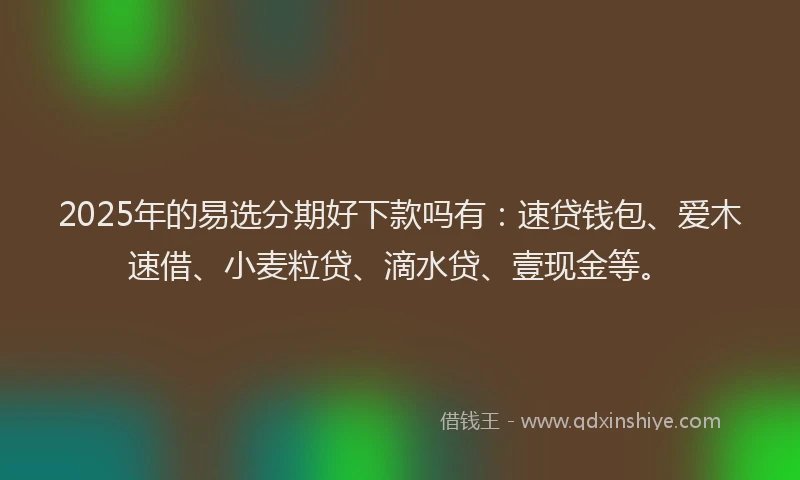 2025年的易选分期好下款吗有：速贷钱包、爱木速借、小麦粒贷、滴水贷、壹现金等。