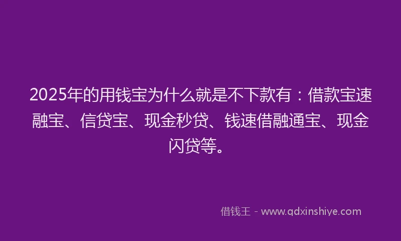 2025年的用钱宝为什么就是不下款有：借款宝速融宝、信贷宝、现金秒贷、钱速借融通宝、现金闪贷等。