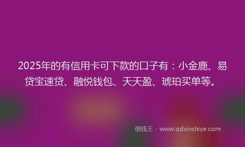 2025年的有信用卡可下款的口子有：小金鹿、易贷宝速贷、融悦钱包、天天盈、琥珀买单等。