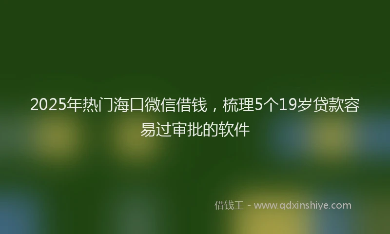 2025年热门海口微信借钱，梳理5个19岁贷款容易过审批的软件