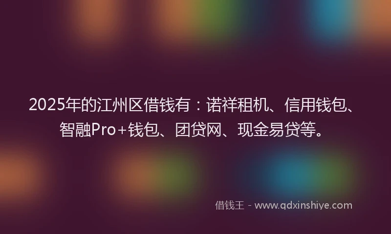 2025年的江州区借钱有：诺祥租机、信用钱包、智融Pro+钱包、团贷网、现金易贷等。