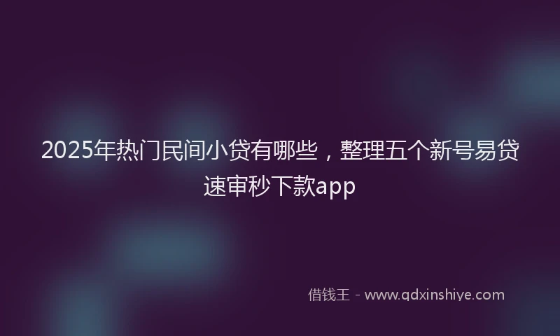 2025年热门民间小贷有哪些，整理五个新号易贷速审秒下款app