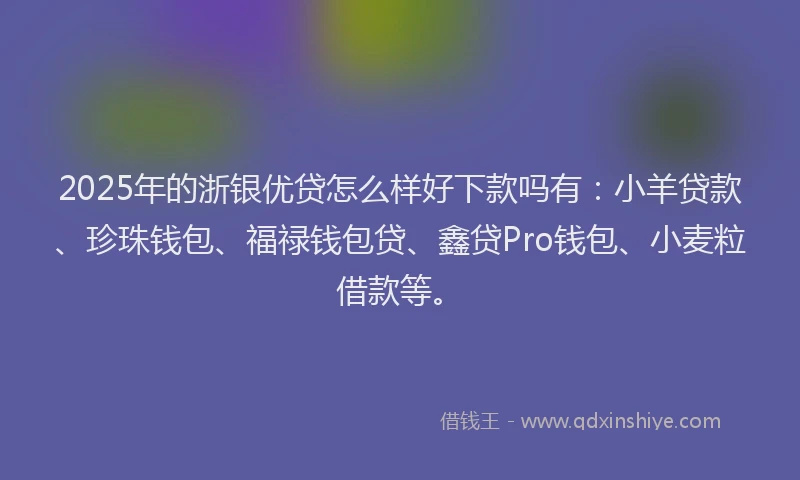 2025年的浙银优贷怎么样好下款吗有：小羊贷款、珍珠钱包、福禄钱包贷、鑫贷Pro钱包、小麦粒借款等。