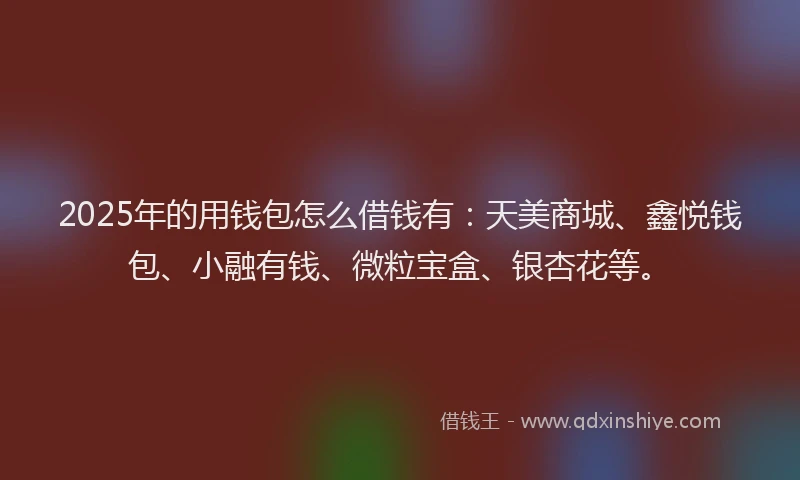 2025年的用钱包怎么借钱有：天美商城、鑫悦钱包、小融有钱、微粒宝盒、银杏花等。
