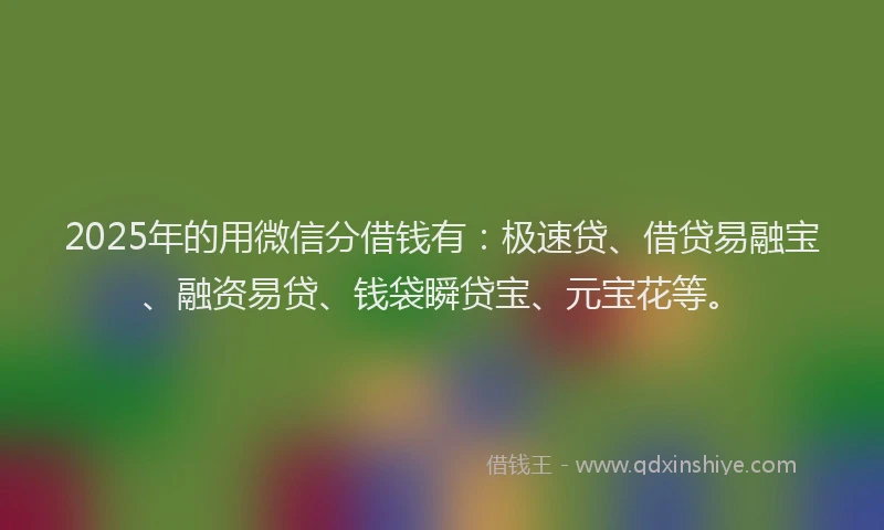 2025年的用微信分借钱有：极速贷、借贷易融宝、融资易贷、钱袋瞬贷宝、元宝花等。