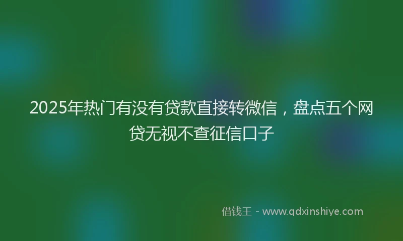2025年热门有没有贷款直接转微信，盘点五个网贷无视不查征信口子