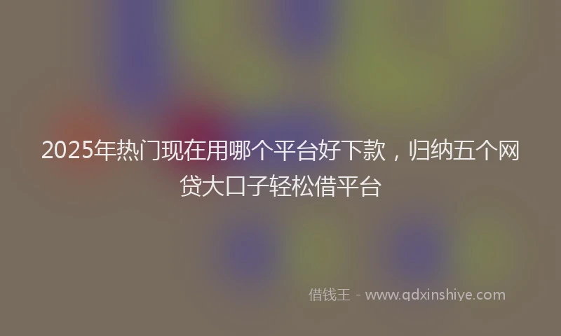 2025年热门现在用哪个平台好下款，归纳五个网贷大口子轻松借平台