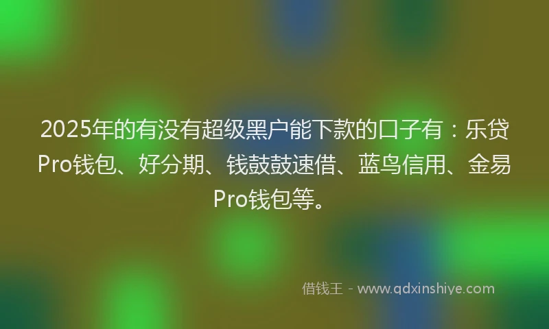 2025年的有没有超级黑户能下款的口子有：乐贷Pro钱包、好分期、钱鼓鼓速借、蓝鸟信用、金易Pro钱包等。