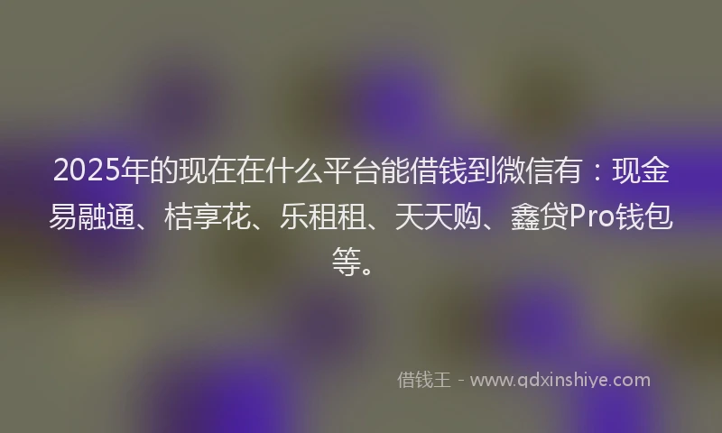 2025年的现在在什么平台能借钱到微信有：现金易融通、桔享花、乐租租、天天购、鑫贷Pro钱包等。