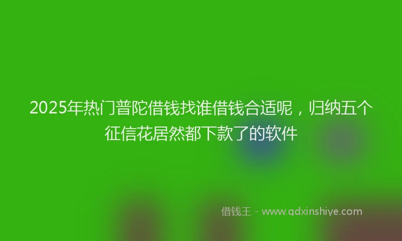 2025年热门普陀借钱找谁借钱合适呢，归纳五个征信花居然都下款了的软件