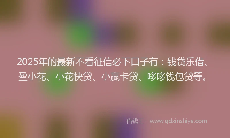 2025年的最新不看征信必下口子有：钱贷乐借、盈小花、小花快贷、小赢卡贷、哆哆钱包贷等。