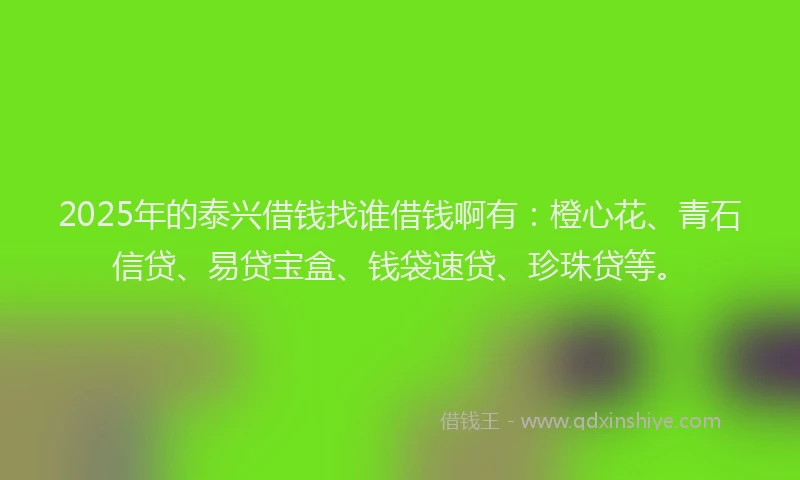 2025年的泰兴借钱找谁借钱啊有：橙心花、青石信贷、易贷宝盒、钱袋速贷、珍珠贷等。