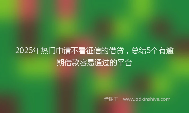 2025年热门申请不看征信的借贷，总结5个有逾期借款容易通过的平台