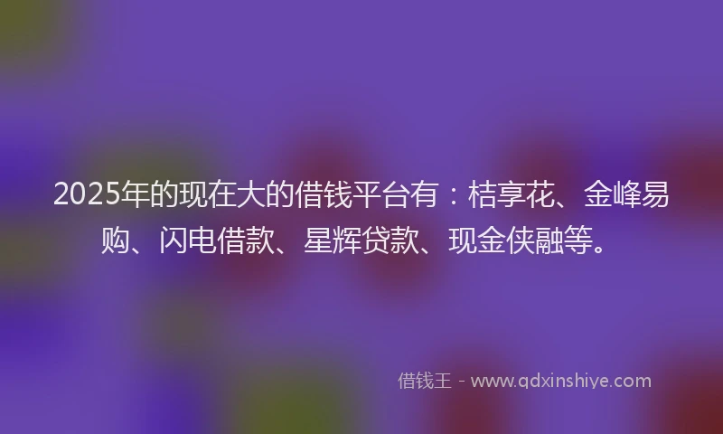 2025年的现在大的借钱平台有：桔享花、金峰易购、闪电借款、星辉贷款、现金侠融等。