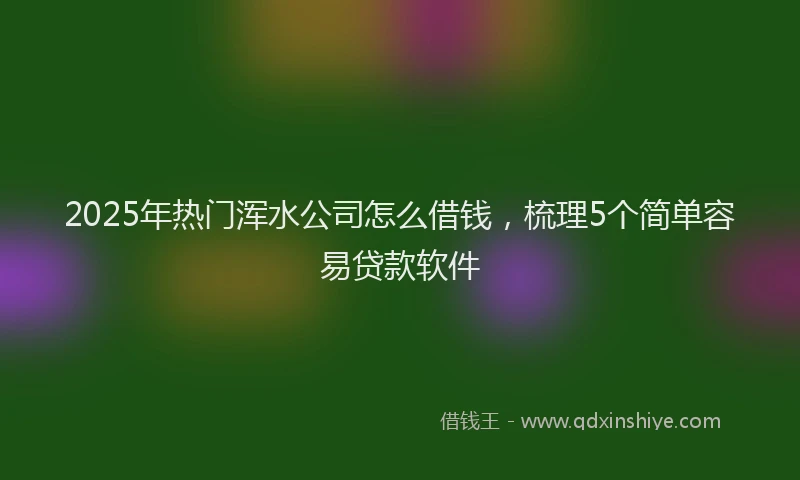 2025年热门浑水公司怎么借钱，梳理5个简单容易贷款软件