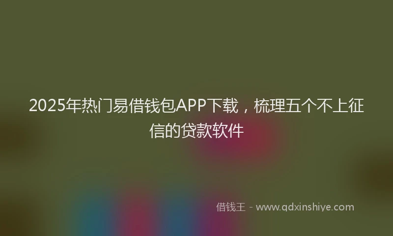 2025年热门易借钱包APP下载，梳理五个不上征信的贷款软件