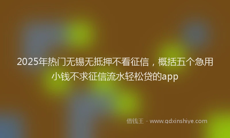 2025年热门无锡无抵押不看征信，概括五个急用小钱不求征信流水轻松贷的app