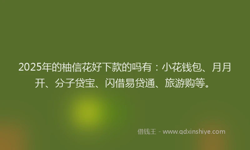 2025年的柚信花好下款的吗有：小花钱包、月月开、分子贷宝、闪借易贷通、旅游购等。