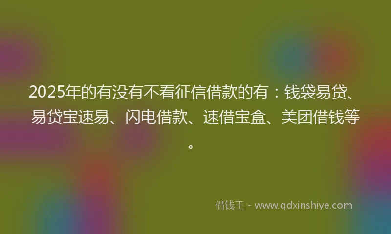 2025年的有没有不看征信借款的有：钱袋易贷、易贷宝速易、闪电借款、速借宝盒、美团借钱等。