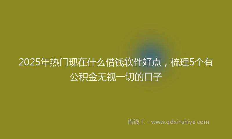 2025年热门现在什么借钱软件好点，梳理5个有公积金无视一切的口子