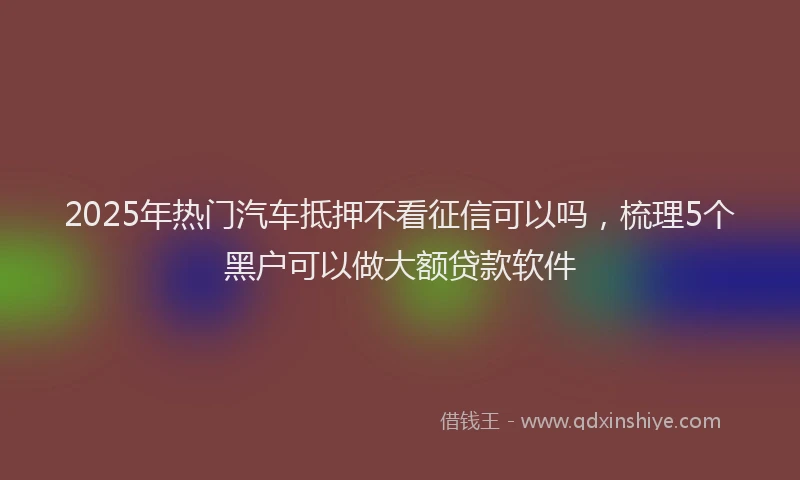 2025年热门汽车抵押不看征信可以吗，梳理5个黑户可以做大额贷款软件