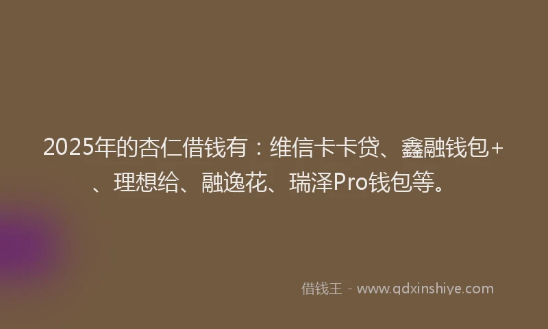 2025年的杏仁借钱有：维信卡卡贷、鑫融钱包+、理想给、融逸花、瑞泽Pro钱包等。