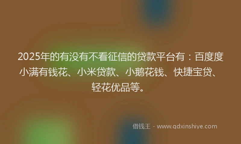 2025年的有没有不看征信的贷款平台有：百度度小满有钱花、小米贷款、小鹅花钱、快捷宝贷、轻花优品等。