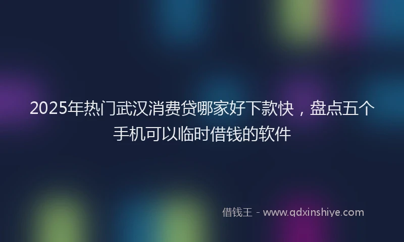 2025年热门武汉消费贷哪家好下款快，盘点五个手机可以临时借钱的软件