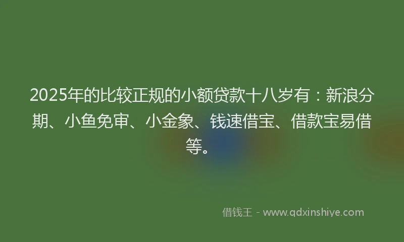 2025年的比较正规的小额贷款十八岁有：新浪分期、小鱼免审、小金象、钱速借宝、借款宝易借等。