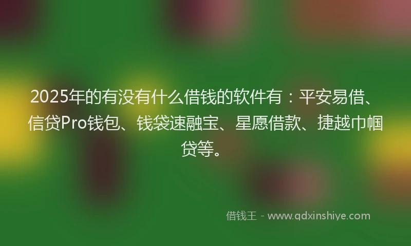 2025年的有没有什么借钱的软件有：平安易借、信贷Pro钱包、钱袋速融宝、星愿借款、捷越巾帼贷等。